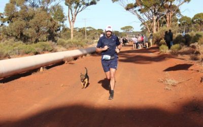 Dog Who (Accidentally) Run Marathons!