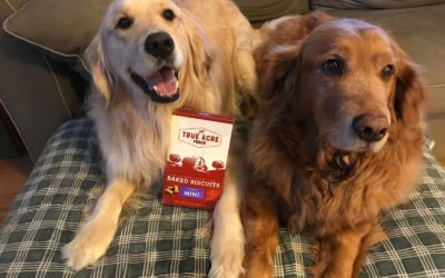 crunch crunch nom nom True Acre Foods treats  #ChewyInfluencer