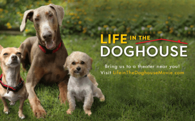 Movie Review- Life in the Dog House