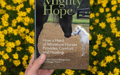 Be the First to See the new Trailer for Mini Horse, Mighty Hope